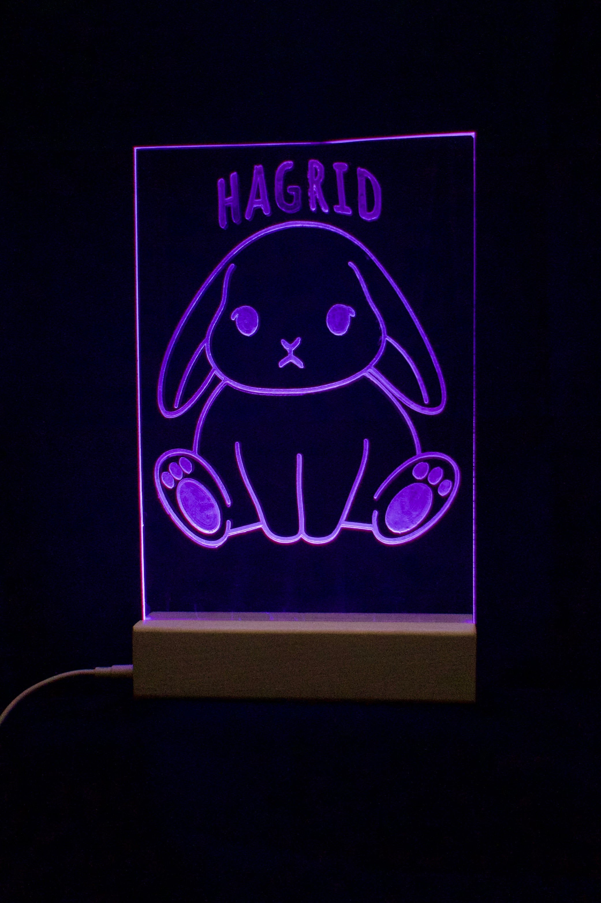Lampa med utbytbart motiv
